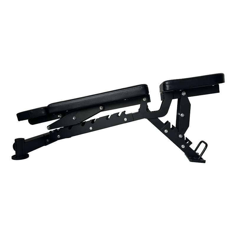 Bangku Dumbbell Komersial Mult - Home Gym Multi ulasan dan harga